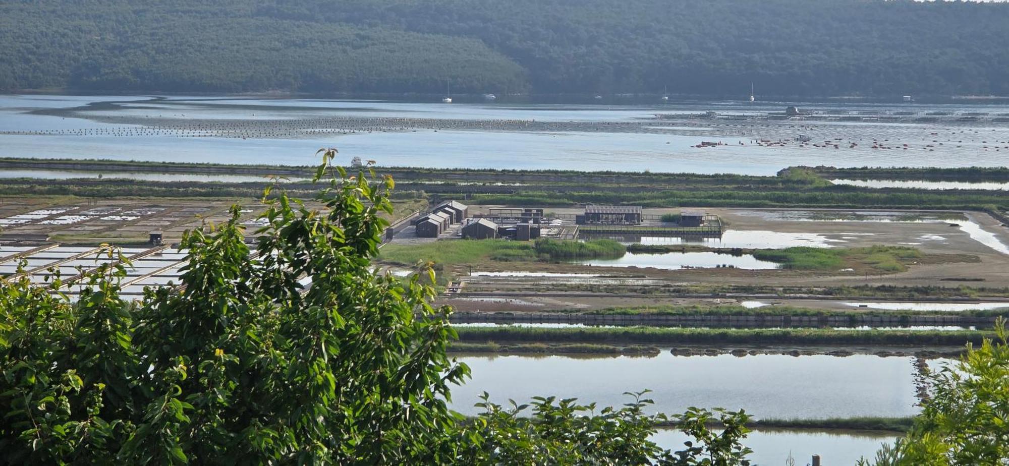 Apartment Salt Pans View Portoroz Exterior photo